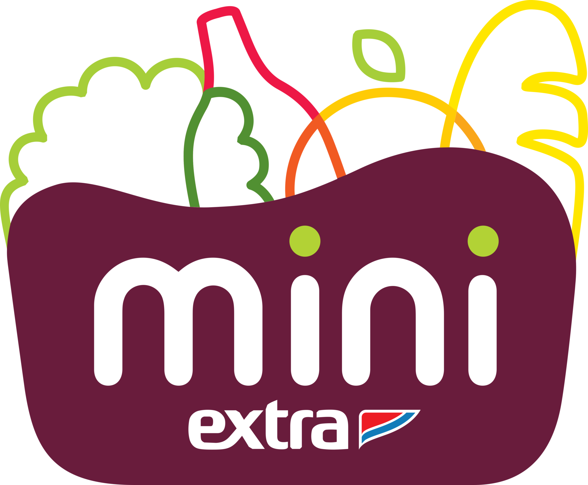 Mini Extra